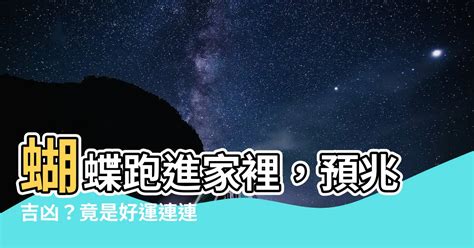 蝴蝶跑進家裡|蝴蝶入屋風水秘密曝光